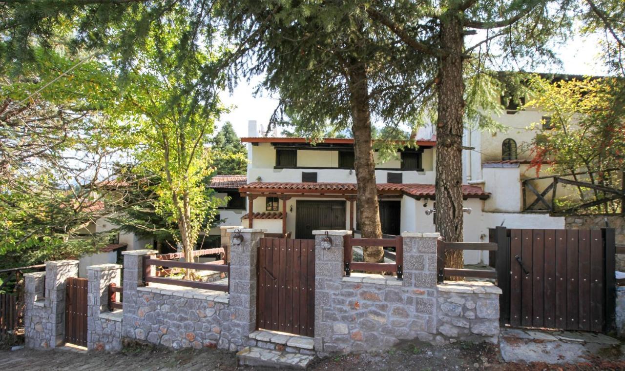 Dandy Villas Agoriani - Chalet Ivoni - Fireplace Eptálofosz Kültér fotó